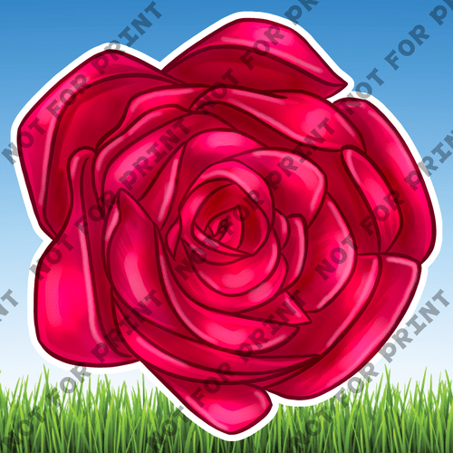 ACME Yard Cards Pink & Red Roses #022