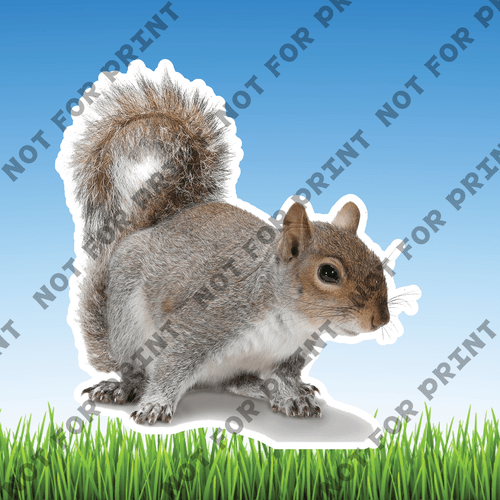 ACME Yard Cards Realistic Woodland Animals #027