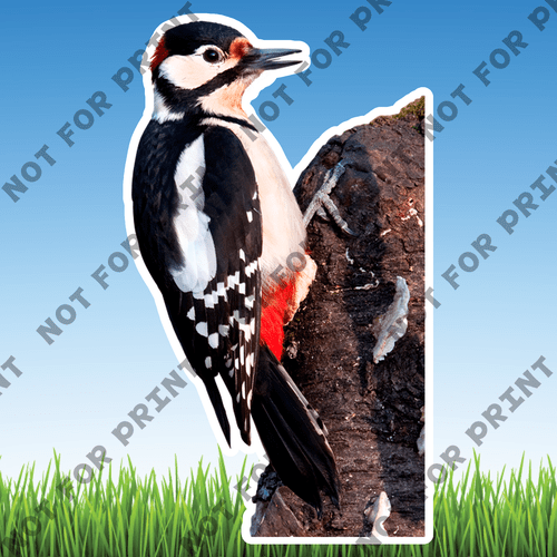 ACME Yard Cards Realistic Woodland Animals #039