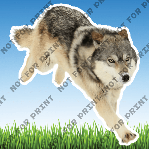 ACME Yard Cards Realistic Woodland Animals #058