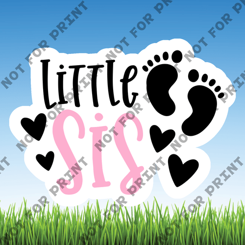 ACME Yard Cards Small Birth Announcement Word Flair #050