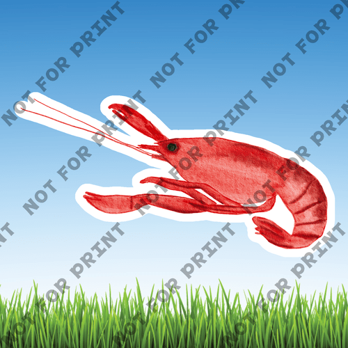 ACME Yard Cards Small Crawfish Boil #003