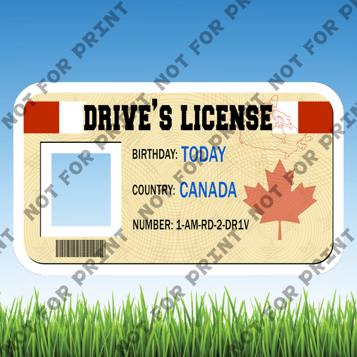 ACME Yard Cards Small Drivers License #002