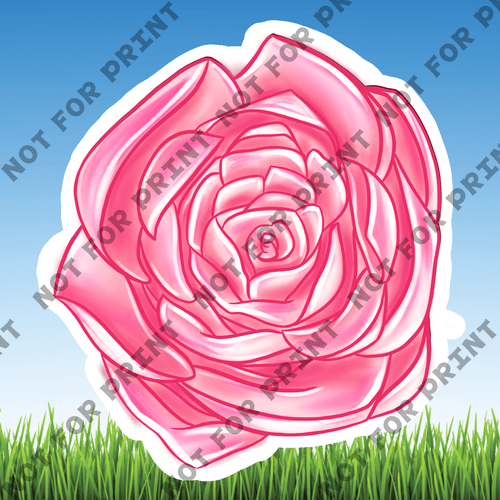 ACME Yard Cards Small Pink & Red Roses #005