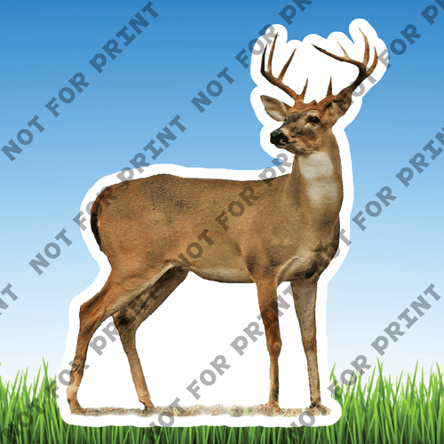 ACME Yard Cards Small Realistic Woodland Animals #003