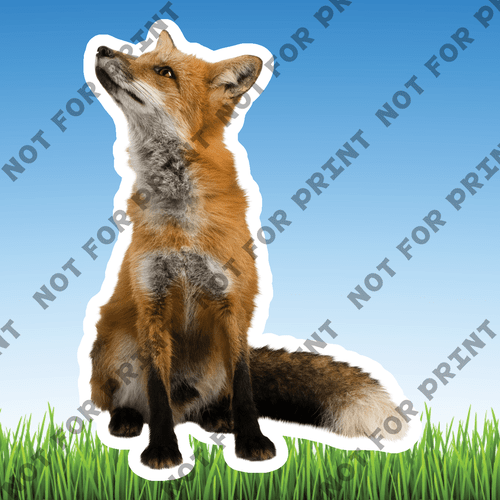 ACME Yard Cards Small Realistic Woodland Animals #004
