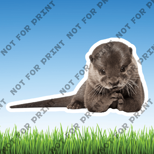 ACME Yard Cards Small Realistic Woodland Animals #012