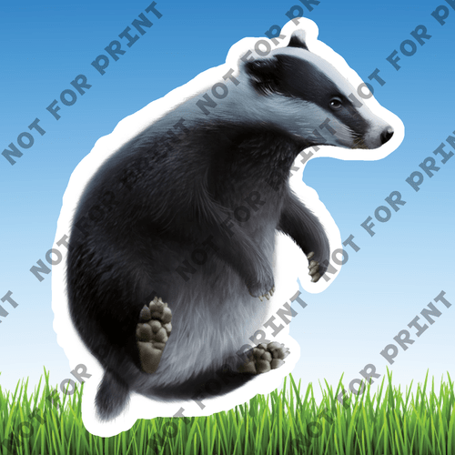 ACME Yard Cards Small Realistic Woodland Animals #023
