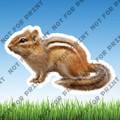 ACME Yard Cards Small Realistic Woodland Animals #024