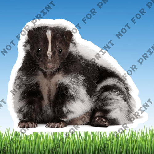 ACME Yard Cards Small Realistic Woodland Animals #025