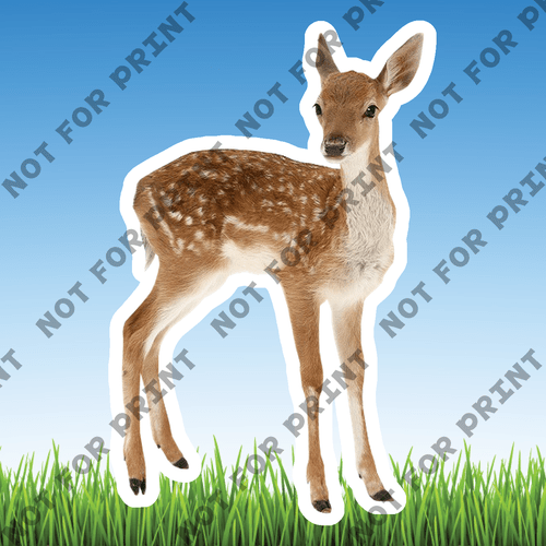 ACME Yard Cards Small Realistic Woodland Animals #035