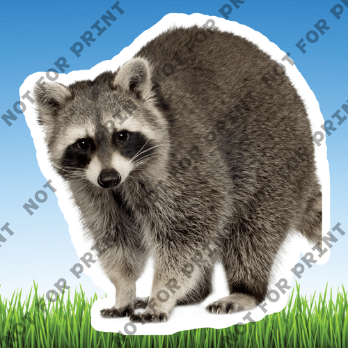 ACME Yard Cards Small Realistic Woodland Animals #047
