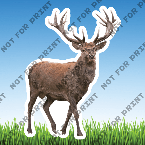 ACME Yard Cards Small Realistic Woodland Animals #052