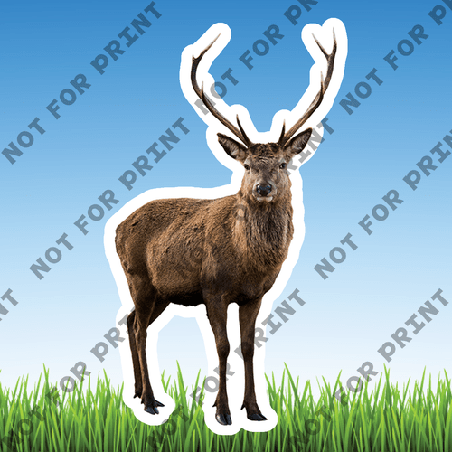 ACME Yard Cards Small Realistic Woodland Animals #053