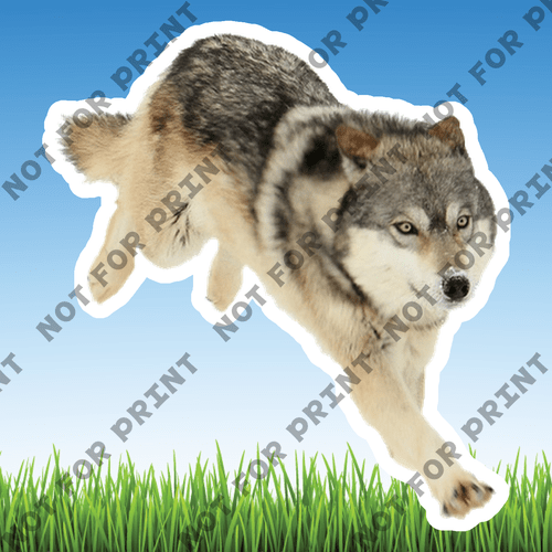 ACME Yard Cards Small Realistic Woodland Animals #058