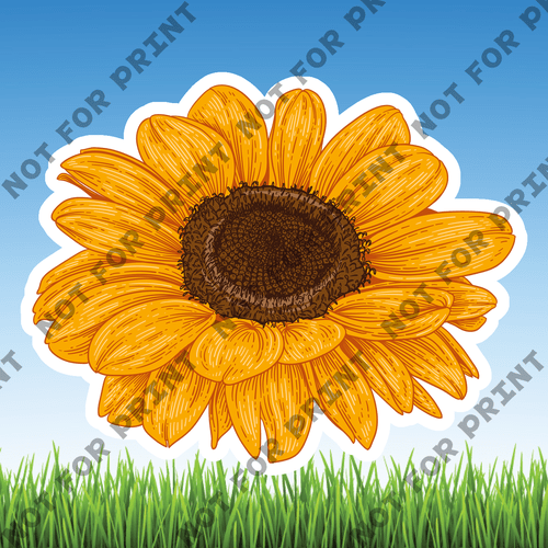 ACME Yard Cards Small Sunflowers #007
