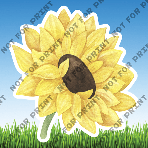ACME Yard Cards Small Sunflowers #013