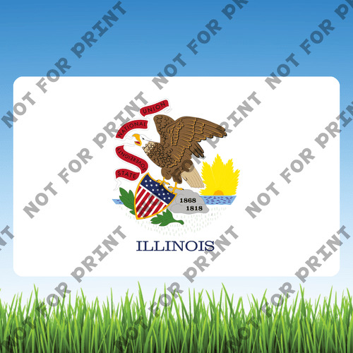 ACME Yard Cards Small USA State Flags #012