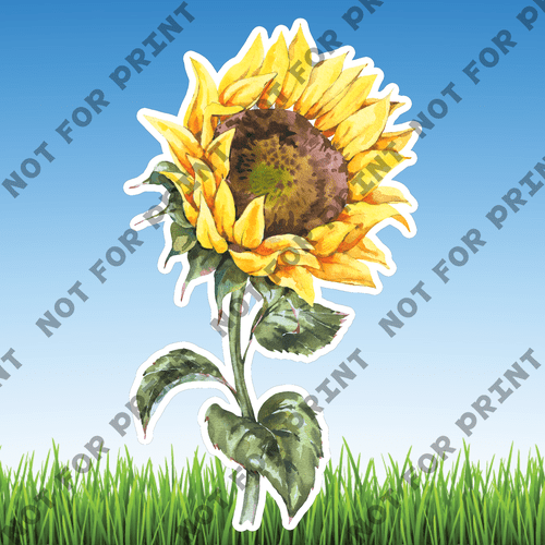 ACME Yard Cards Sunflower Watercolor Collection I #005