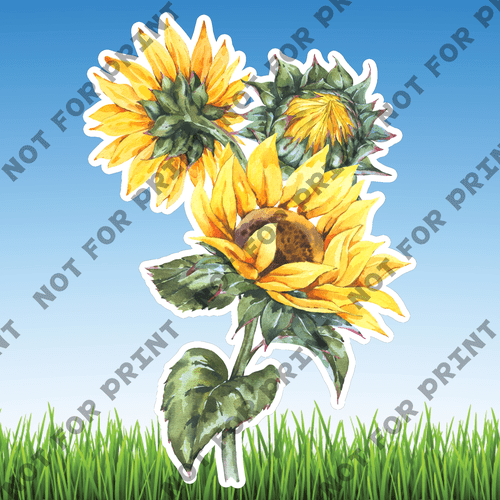 ACME Yard Cards Sunflower Watercolor Collection I #006