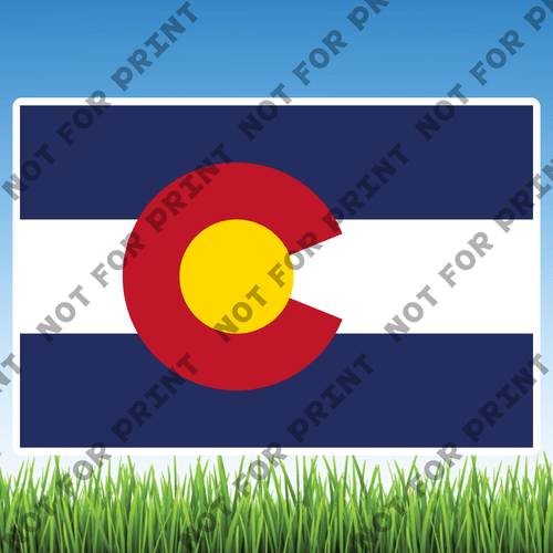 ACME Yard Cards USA State Flags #005