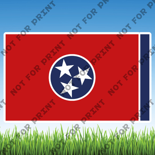 ACME Yard Cards USA State Flags #041