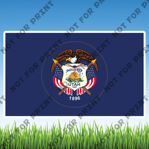 ACME Yard Cards USA State Flags #043